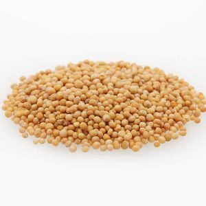 Yellow Mustard Seeds