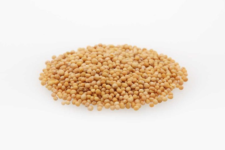 Yellow Mustard Seeds