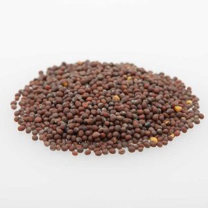 Brown Mustard Seeds