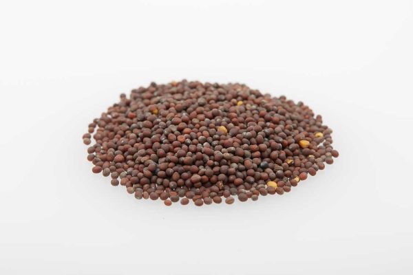 Brown Mustard Seeds